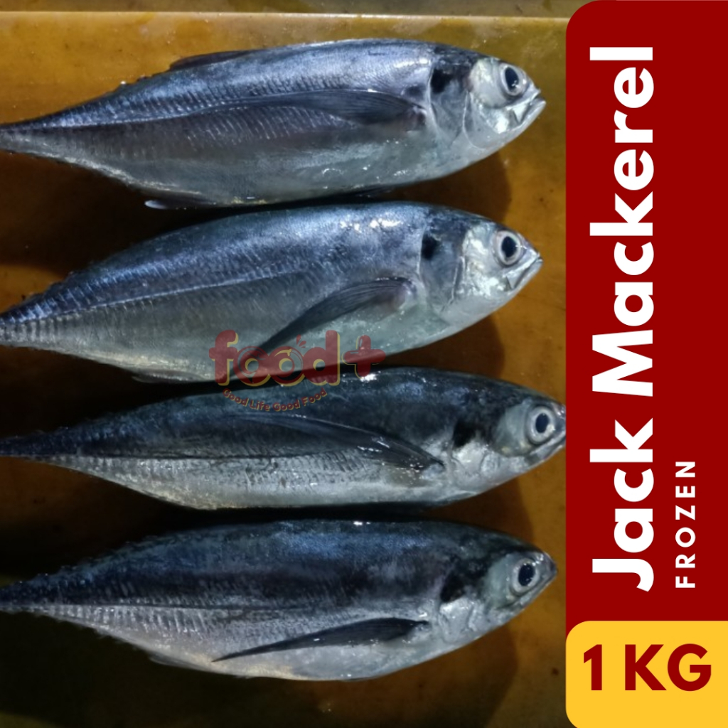 

Ikan Jack Mackerel / Tetengkek [1 KG]