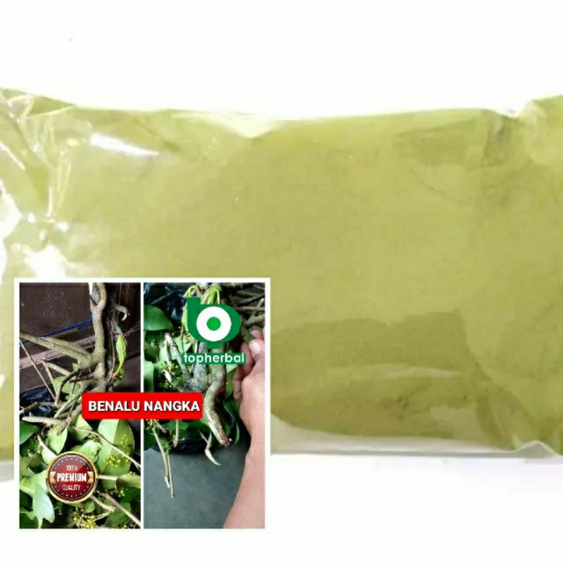 

Bubuk Benalu Nangka 1000 Gram Kering Hijau Organik Super Premium