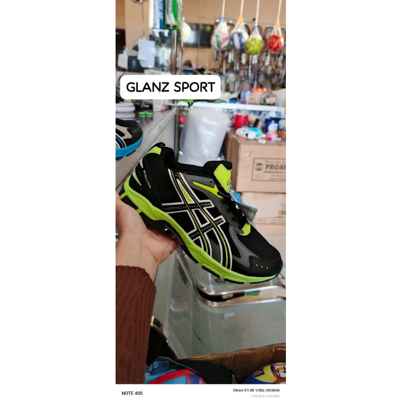 SEPATU VOLLY JOGING RUNNING  VOLI PROFESIONAL STALLION ORIGINAL