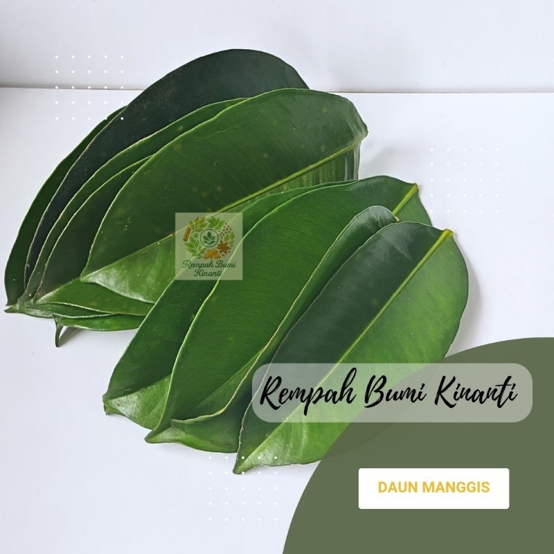 

DAUN MANGGIS SEGAR ORGANIK 100 GRAM OBAT HERBAL