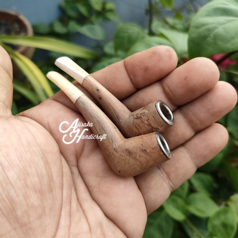 Pipa once / once cangklong kayu bidara arab