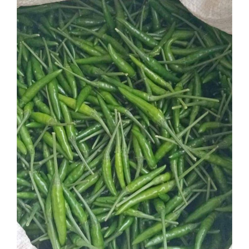 

cabai lalap hijau 1KG mantap asli boyolali pedassssssas