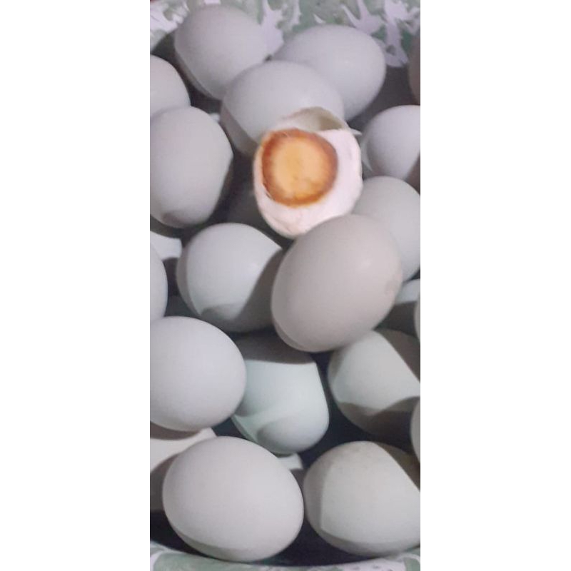 

telur asin Masir 32.000 10 butir