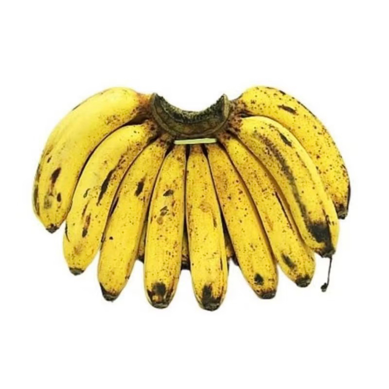 

pisang barangan 1 sisir