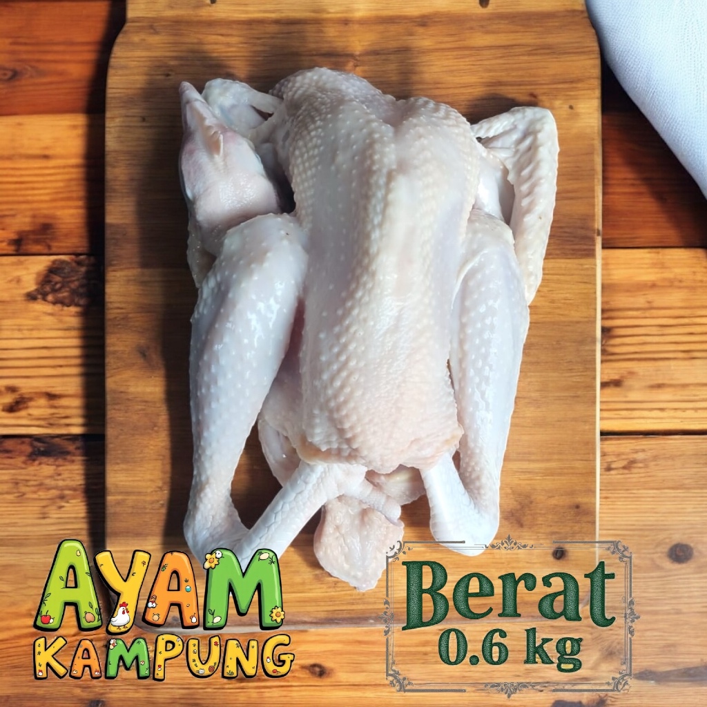 

Ayam Kampung Asli Utuh 0.6 Kg – Siap Masak, Kualitas Super