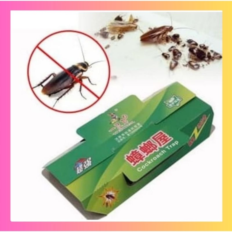 Lem Kecoa Hijau Perangkap Kecoa