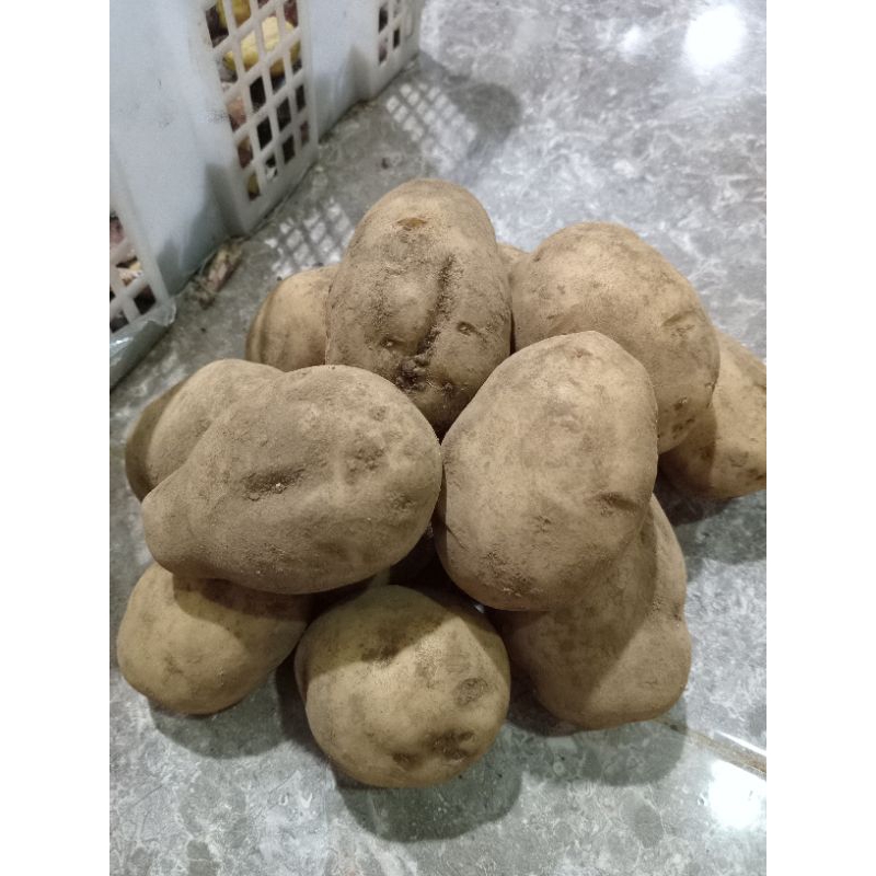 

Kentang dieng 1 kg