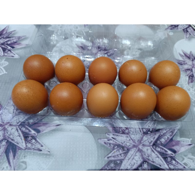 

Telur ayam negeri