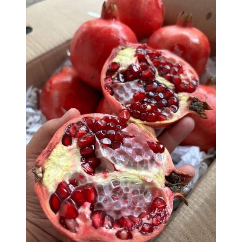 

Buah Delima Import / Pomegranate / Delima Premium
