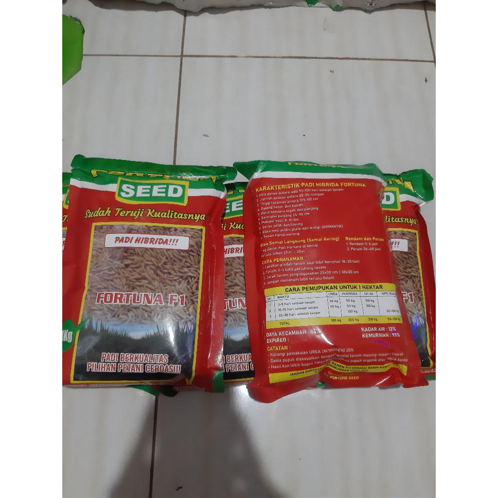 PROMO  Benih padi hibrida terbaru FORTUNA SEED F1
