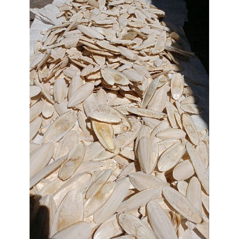 ASINAN TULANG SOTONG 1 KG