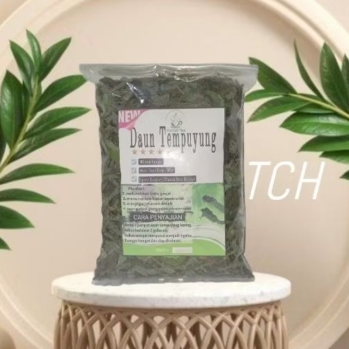 

Daun Tempuyung kering 100 gram Tanpa Akar