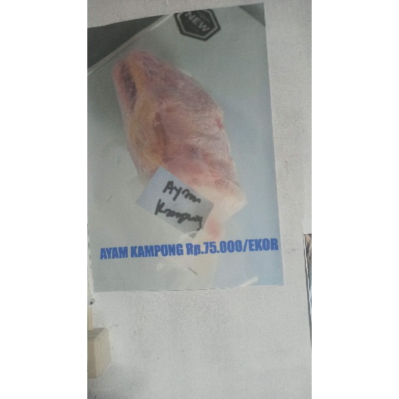

ayam kampung utuh per ekor