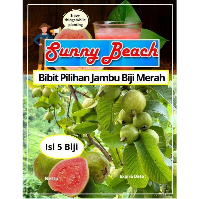 Bibit Pilihan Jambu Biji Merah | Biji Benih Jambu Biji Merah | Jambu