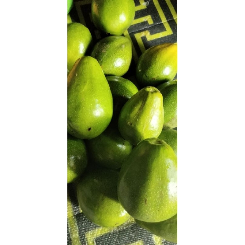 

Alpokat Mentega