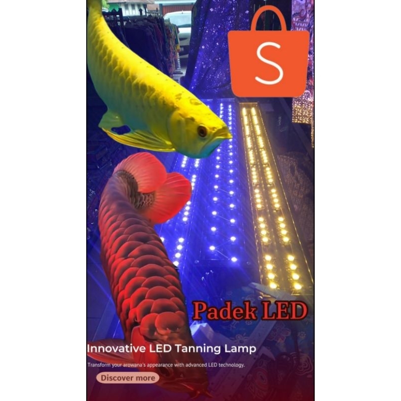 lampu tanning 30 mata led (3WATT/led) cahaya 25000kelvin-30000kelvin