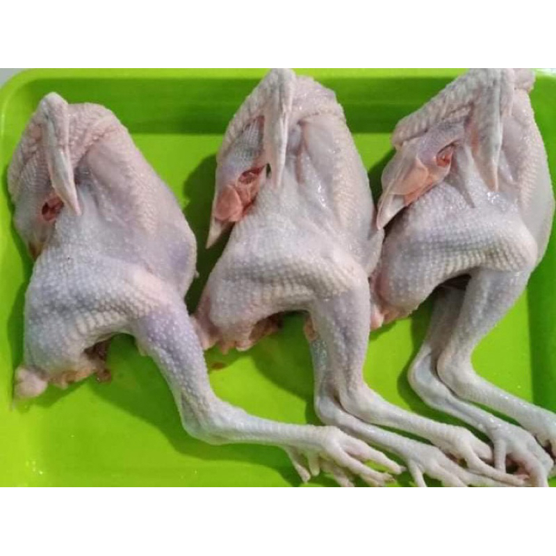 

Ayam Kampung Frozen 1/2kg