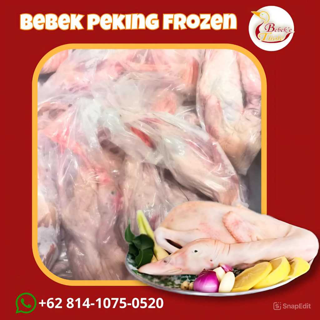 

BEBEK PEKING FRES 1 EKOR berat 1,4 kg/1400 gr