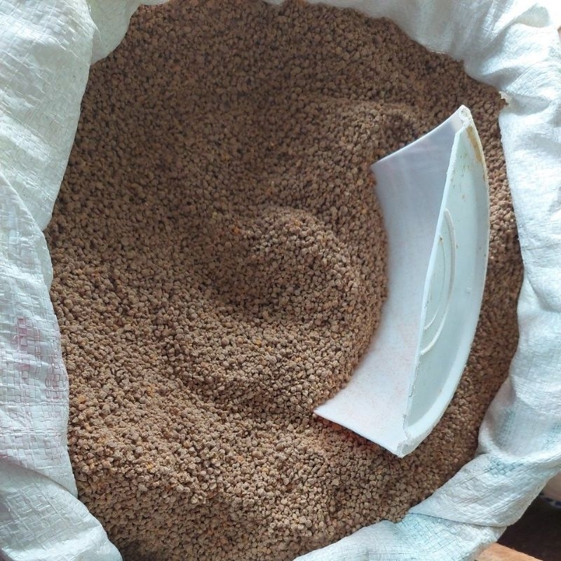 Pakan Pur Ayam 511