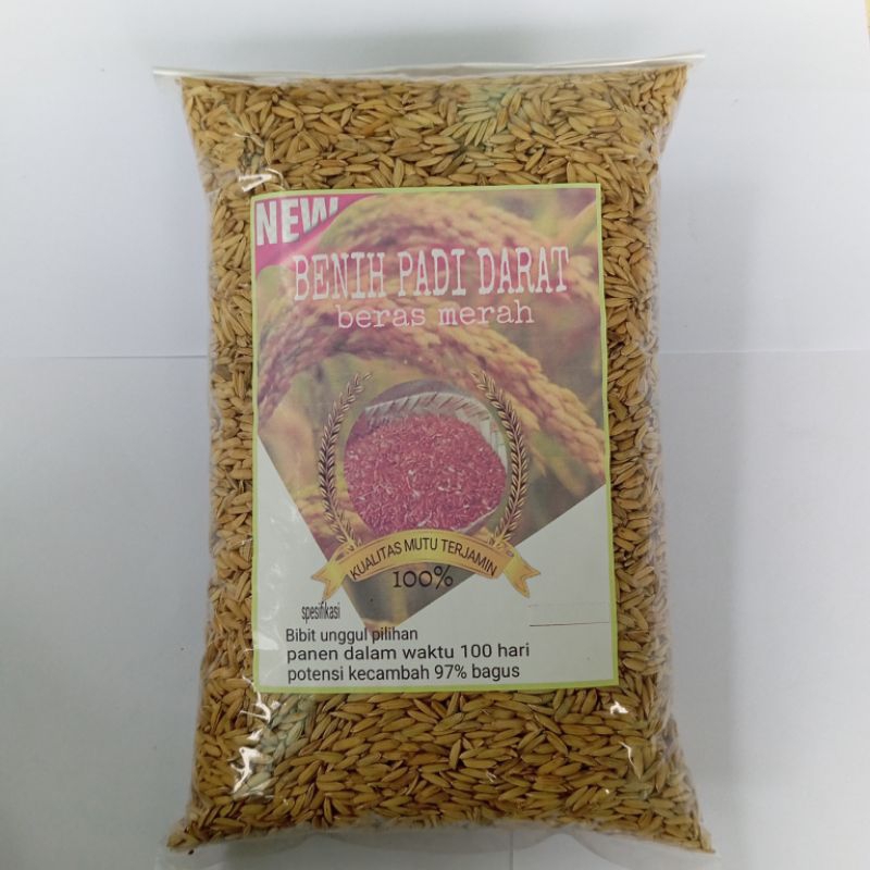 

Gabah padi huma padi darat beras merah 1 kg