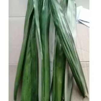 

daun salak segar di petik saat order masuk