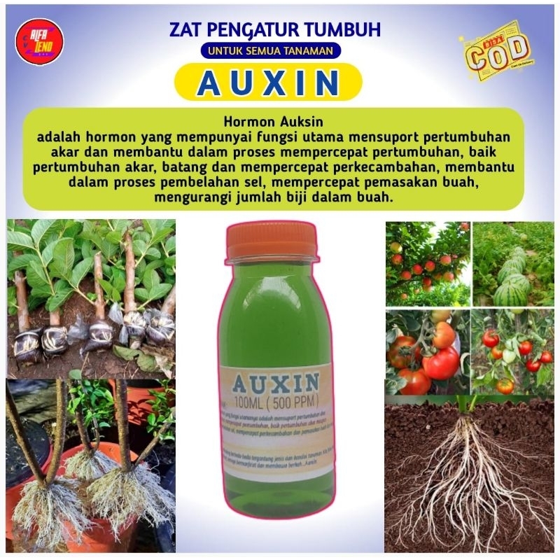 Hormon Auxin Murni zpt Akar 100 ml 500 ppm