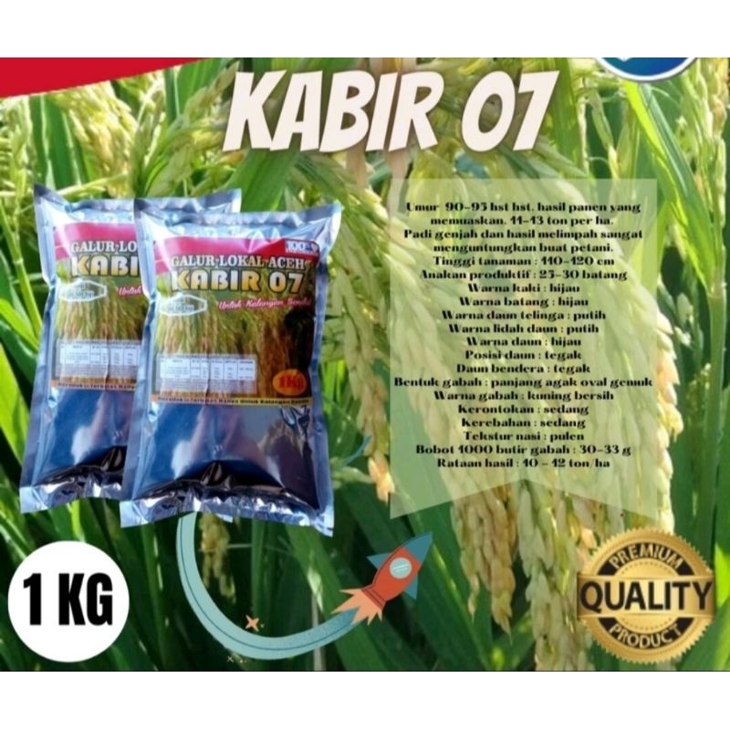 BENIH BIBIT PADI KABIR 07 PER 1KG