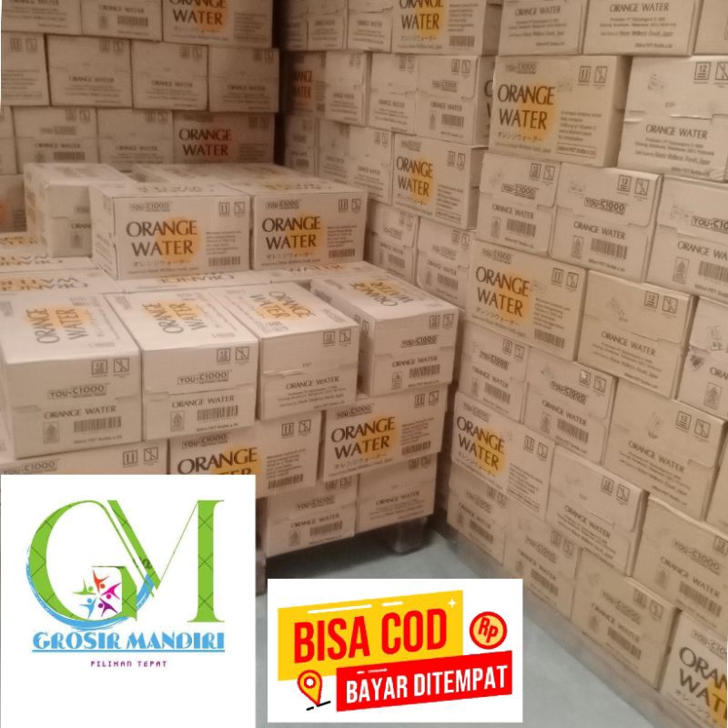 

You C.1000 Water 500ml (1 Karton)