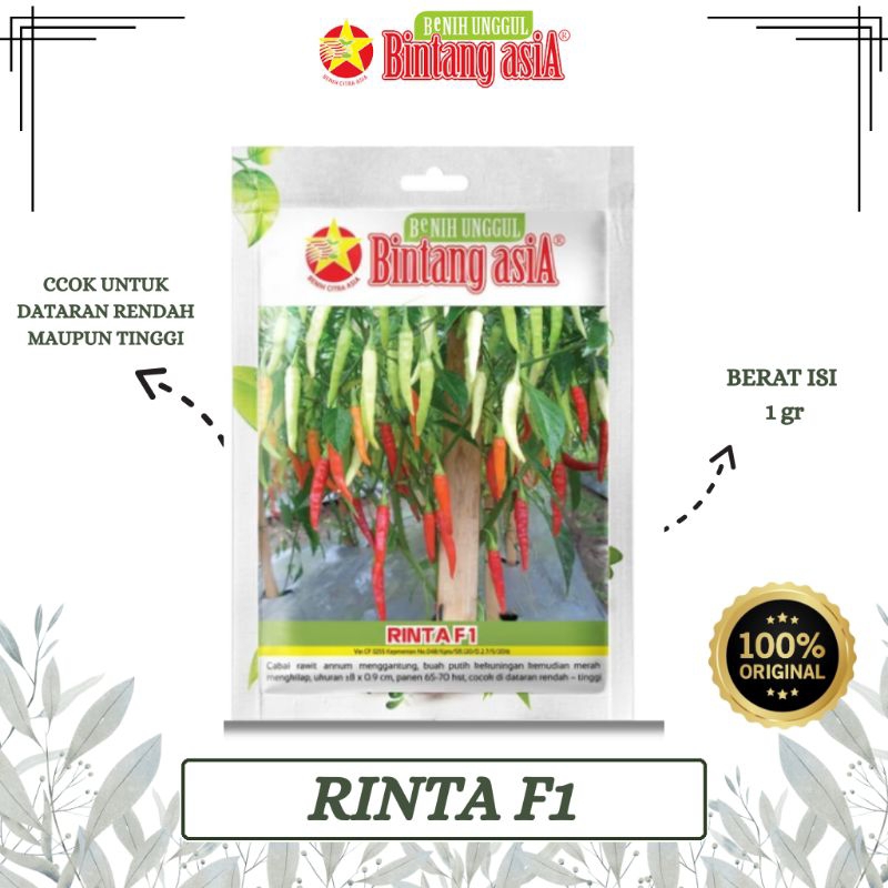 BENIH CABAI RINTA F1 1 GRAM BINTANG ASIA PT. BENIH CITRA ASIA