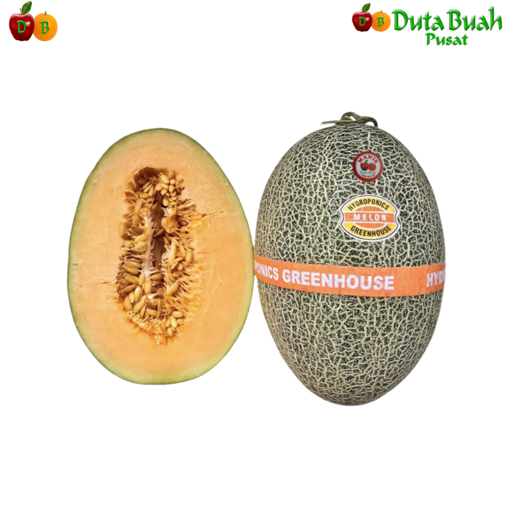 

Duta Buah Melon Midori ±700g-1000g
