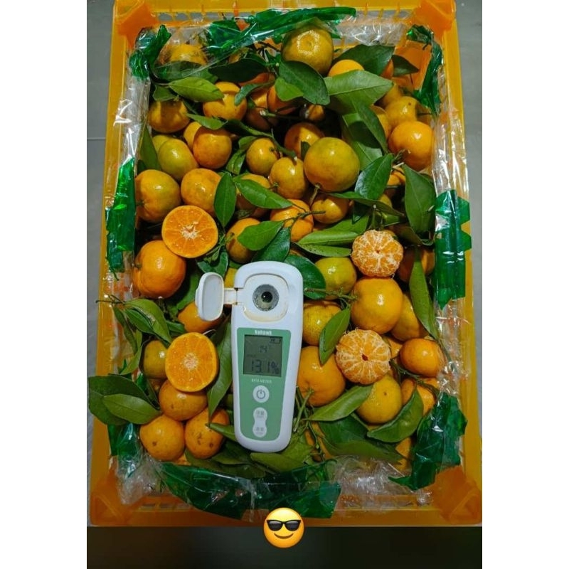 

jeruk shantang mashui / kg