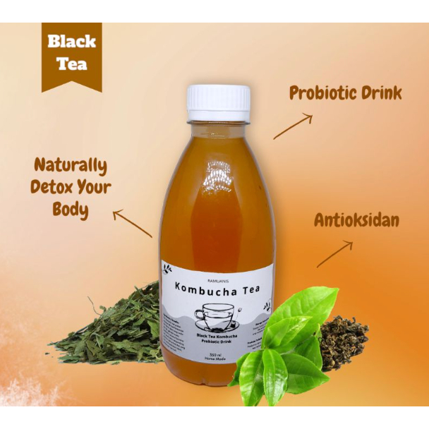 

Teh Kombucha Siap Minum 250 ml - Minuman Probiotik Antioksidan - Lancer Store Original