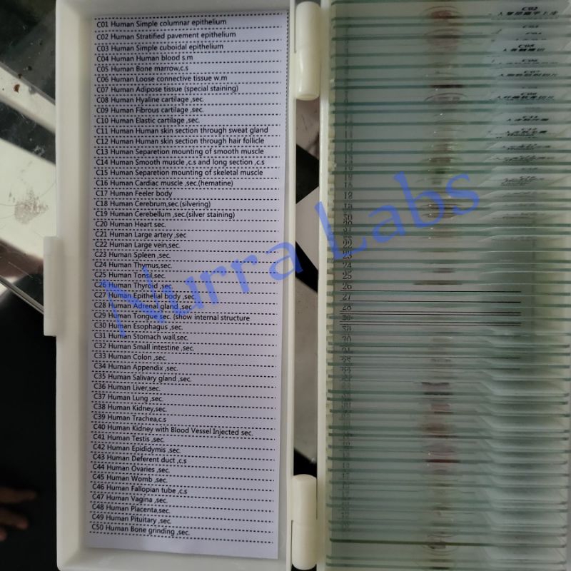 Preparat Histologi Human Kedokteran 50 Slides / Preparat Histology