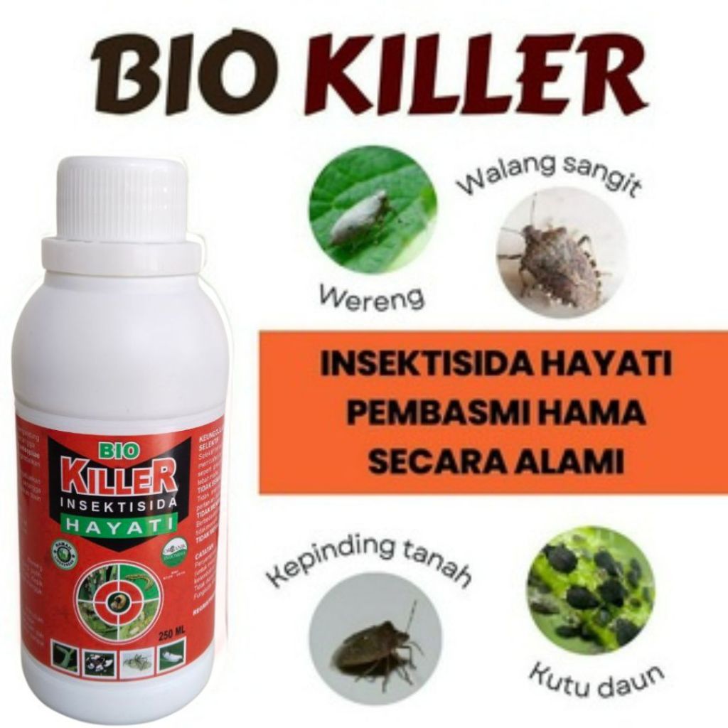 Agen Hayati Metarhizium, Obat Walang Sangit Ampuh, Insektisida Hayati Cair