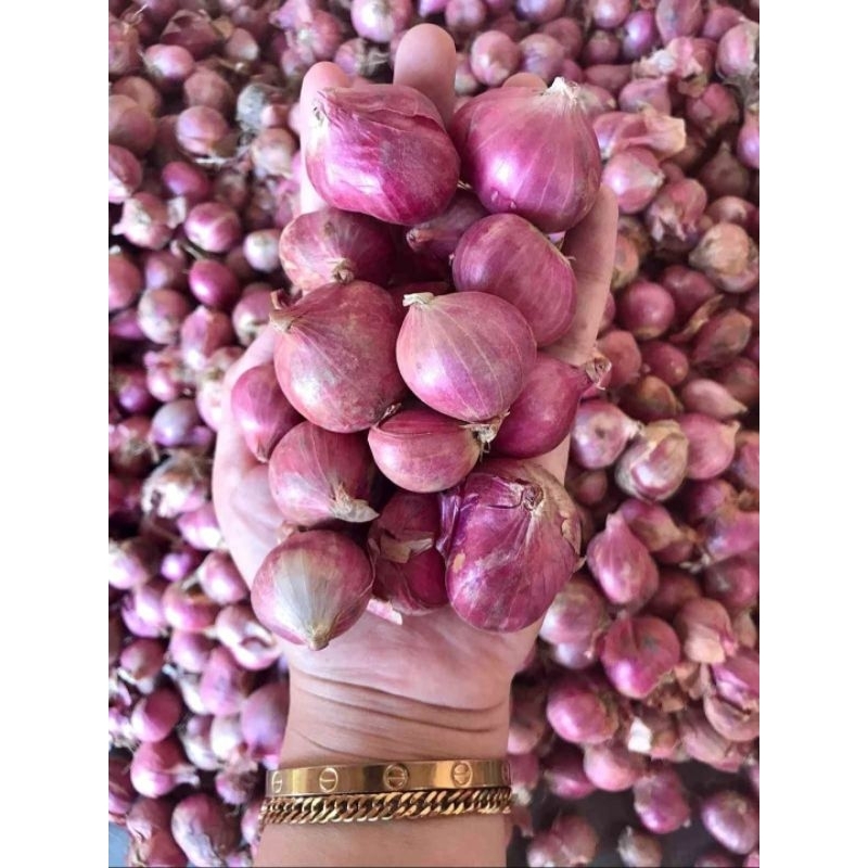 

Bawang merah Superan Murah (1Kg) (500gr) (250gr)