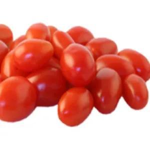 

tomat merah kecil 500gr