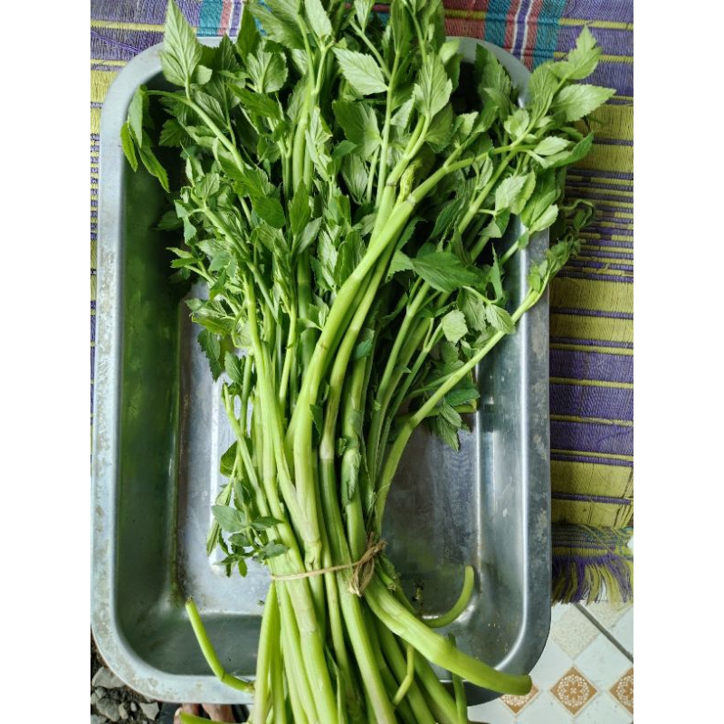 

sayur lalap tespong /ikat mang sayur