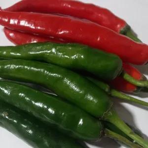 

cabe merah besar campur cabe hijau besar 250 g