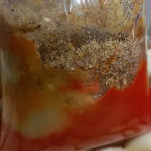 

bumbu gulai halus 250 gr