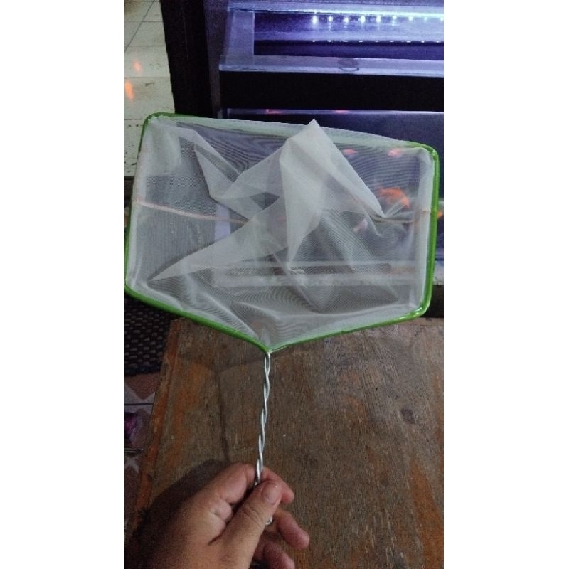 SEROKAN 30CM/ SEROKAN IKAN KOTAK 30CM