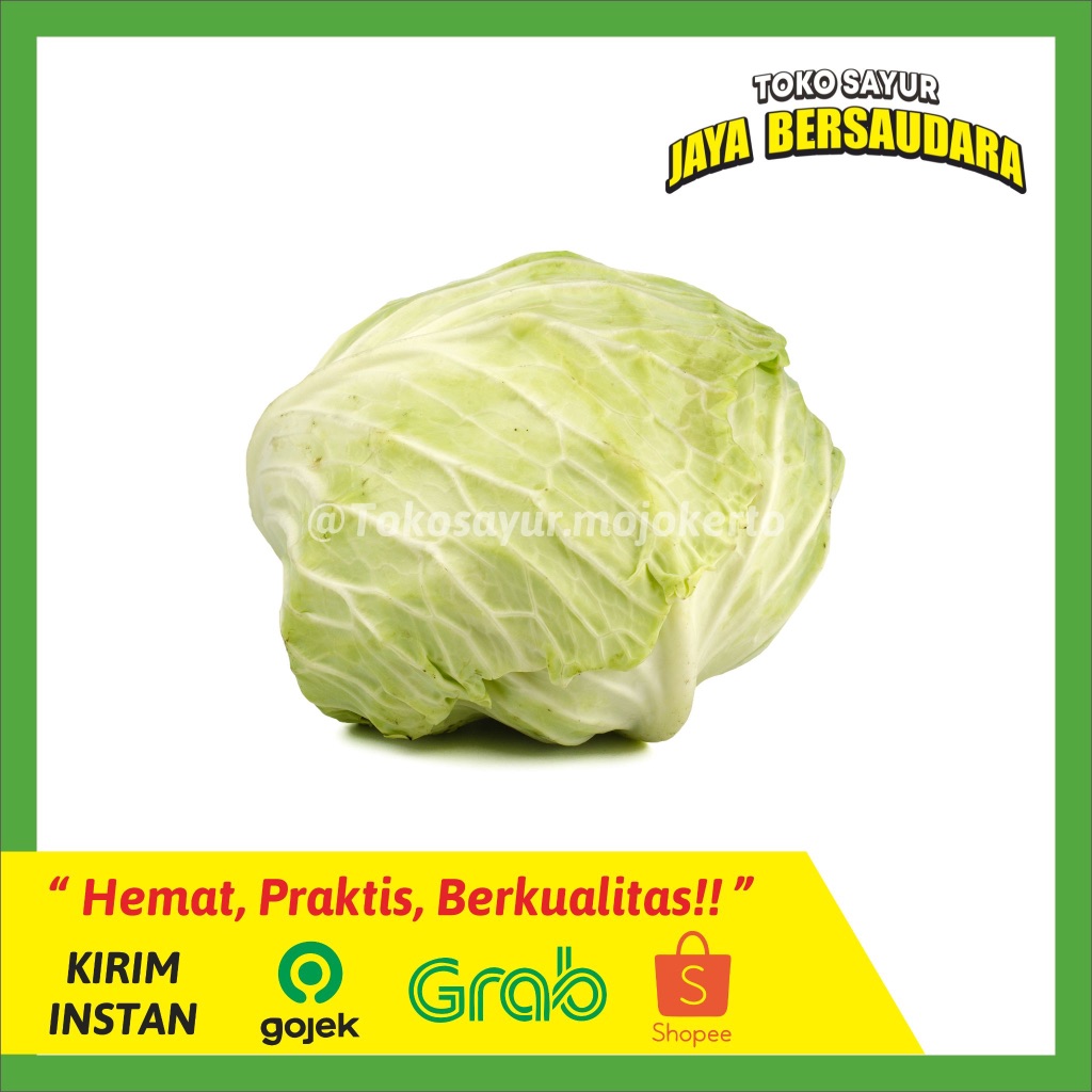 

Kubis / Kol Segar - Tokosayurjb