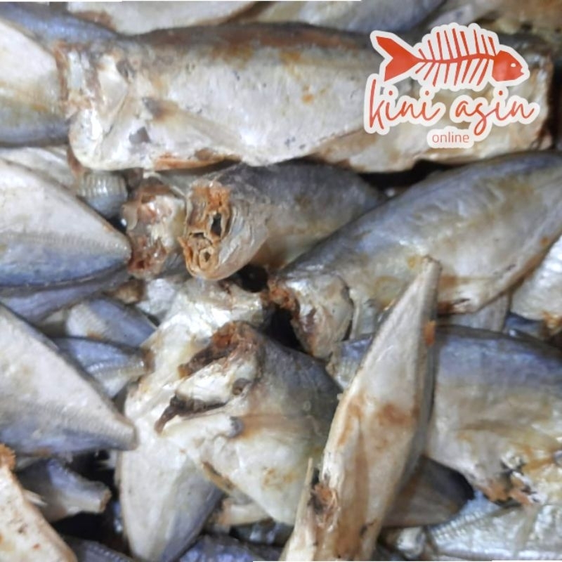 

Ikan Asin Peda Buntung Kering Fresh Berkualitas