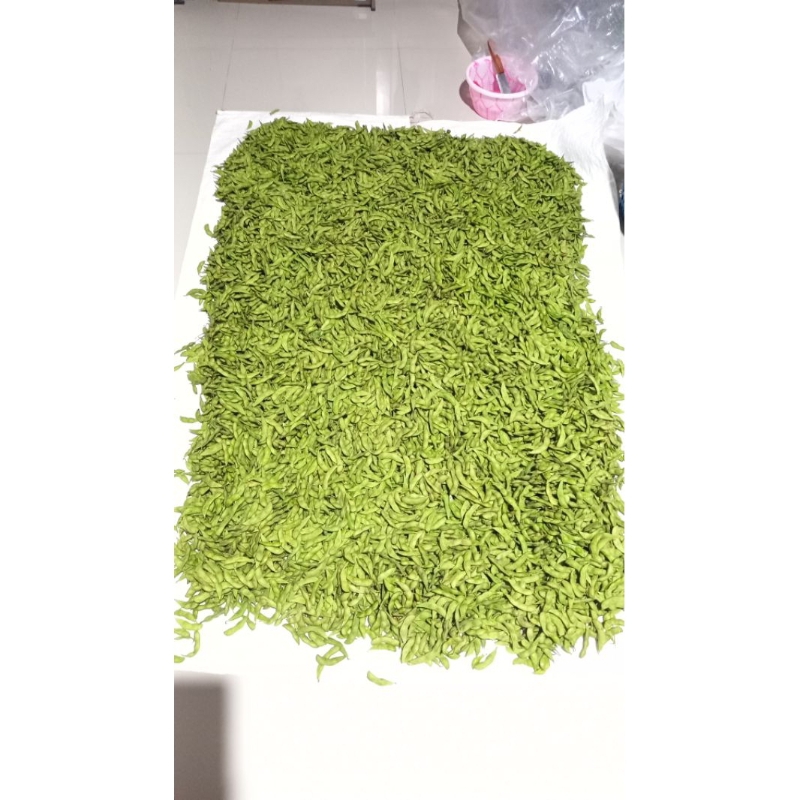 

Edamame 1 kg fresh Murah jateng-jatim