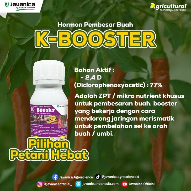 PEMBESAR BUAH (K-BOOSTER)