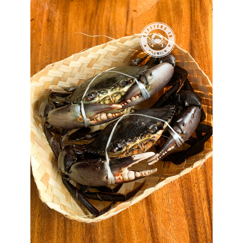 

Kepiting Super Jantan 700-899 gram Premium Export per ekor