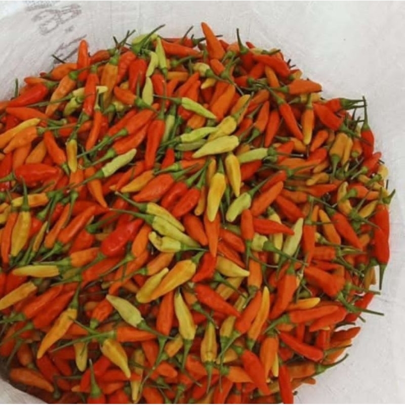 

cabe rawit merah 1kg