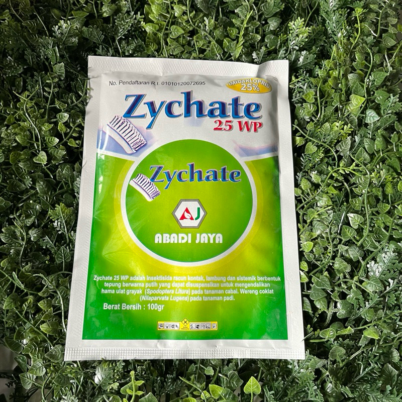Zychate 25WP 100g - Insektisida