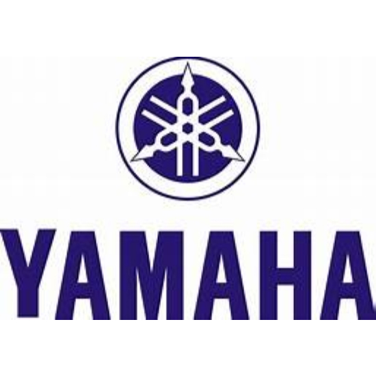 3YR-13100-01 POMPA OLI SAMPING FORCE 1 F1ZR SIGMA ALFA V80