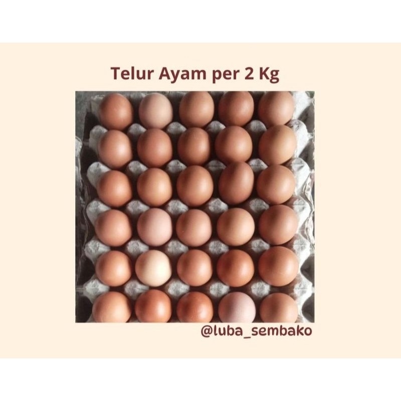 

Telur ayam isi 32 butir