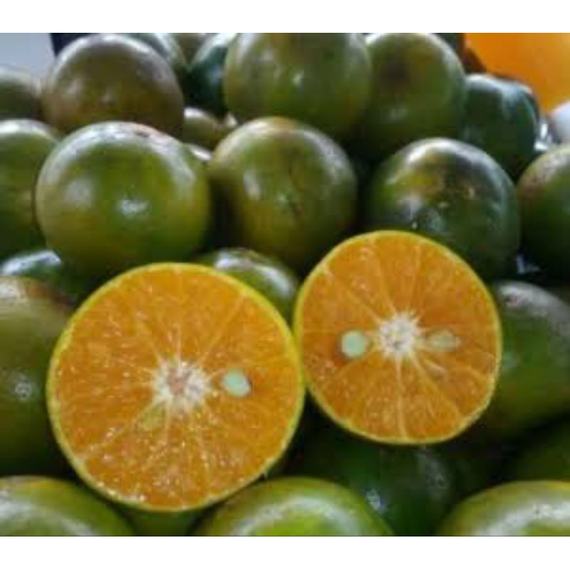 

Jeruk tebas manis/ jeruk sambas manis/ jeruk pontianak manis 500gram